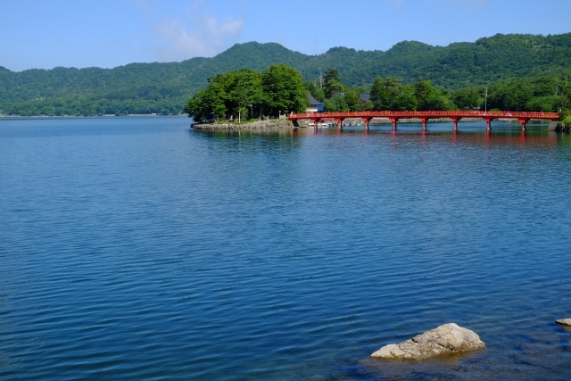 夏の赤城神社参道